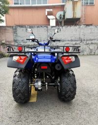 купить Квадроцикл SHARMAX Alligator 400  (2024) в Москве - фото 