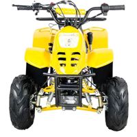 купить Квадроцикл ATV Classic 6 50cc в Москве - фото 
