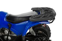 купить Квадроцикл TIGER Extra 175cc (2024) в Москве - фото 