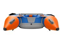 купить Лодка ПВХ РОДЖЕР Zefir Trofey 3100 в Москве - фото 