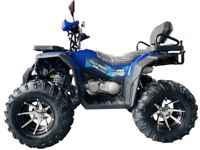 купить Квадроцикл MOTOLAND 300 Wild Track LUX в Москве - фото 