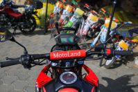 купить Мотоцикл кроссовый эндуро MOTOLAND Dakar LT (2021 Г.) в Москве - фото 