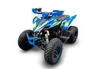 купить Квадроцикл RACER Typhoon 250 в Москве - фото 