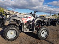 купить Квадроцикл YACOTA Sela 150 в Москве - фото 