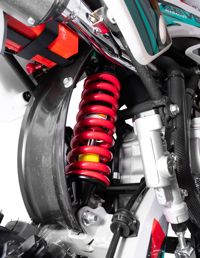 купить Мотоцикл REGULMOTO Seven Medalist 17/14 PITBIKE в Москве - фото 