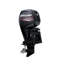 купить 4х-тактный лодочный мотор MERCURY ME F 115 ELPT EFI в Москве - фото 