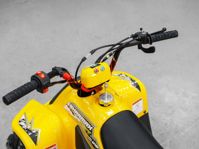 купить Квадроцикл SHARMAX 130 Cross в Москве - фото 