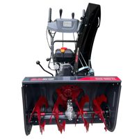 купить Снегоуборщик EVOLINE SBG 660 E в Москве - фото 