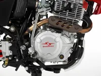 купить Мотоцикл кроссовый эндуро SHARMAX Sport 280 (2024) в Москве - фото 