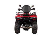 купить Квадроцикл BIZON YK200 Basic Carb в Москве - фото 