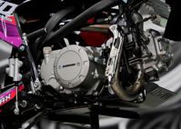 купить Мотоцикл питбайк SHARMAX MOTORS PowerMax 190 MIAMI в Москве - фото 