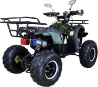 купить Квадроцикл AVANTIS Hunter 8+ 125 2018 в Москве - фото 