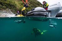 купить 4х-тактный лодочный мотор HONDA BF20 SHU в Москве - фото 