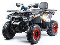купить Квадроцикл TAO MOTOR ATV 200 в Москве - фото 
