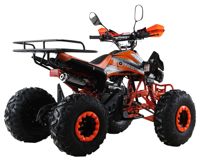 купить Квадроцикл MOTAX ATV T-Rex Super LUX 125 cc в Москве - фото 