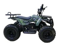 купить Электроквадроцикл MOTAX Grizlik X16 New E1000 в Москве - фото 