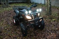 купить Квадроцикл WELS ATV Thunder 150 в Москве - фото 