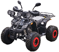 купить Квадроцикл BISON Kids 125 LD в Москве - фото 