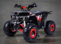 купить Квадроцикл ГЛАДИАТОР H125 Lux в Москве - фото 