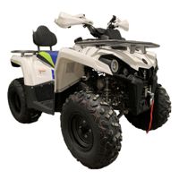 купить Квадроцикл MOTOLAND Shark 200 в Москве - фото 