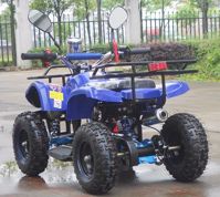 купить Квадроцикл RAPTOR Max Pro 49cc (2024) в Москве - фото 