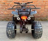 купить Квадроцикл MOWGLI Simple 8+ в Москве - фото 