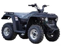 купить Квадроцикл LINHAI-YAMAHA M150 в Москве - фото 