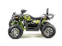 купить Квадроцикл MOTOLAND 200 Wild Track Pro в Москве - фото 