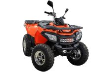 купить Квадроцикл MOTOLAND ATV 200 Max в Москве - фото 