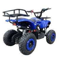 купить Квадроцикл WELS Thunder mini 2T в Москве - фото 