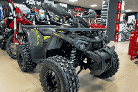 купить Квадроцикл YAMAHA Shark 175 в Москве - фото 