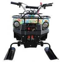 купить Снегоцикл MOTAX Mini-Grizlik Snow в Москве - фото 