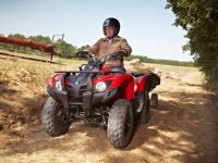 купить Квадроцикл YAMAHA Segway 300 в Москве - фото 