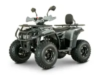 купить Квадроцикл YACOTA Dragon 125 LUX-LD в Москве - фото 