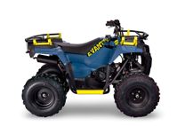 купить Квадроцикл AVANTIS Ray 200 Basic в Москве - фото 