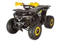 купить Квадроцикл AVANTIS Classic 8 New в Москве - фото 