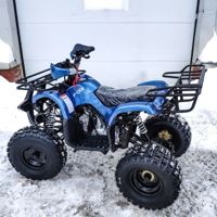 купить Квадроцикл MOTOLAND 125 Fox A в Москве - фото 