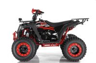купить Квадроцикл WELS ATV Thunder 200 Evo X в Москве - фото 