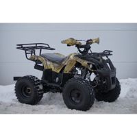 купить Квадроцикл MOTOLAND 125 Fox A в Москве - фото 