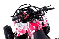 купить Квадроцикл WELS Thunder 125 Basic в Москве - фото 