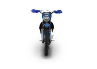 купить Мотоцикл кроссовый эндуро SHARMAX PowerMax 250 on Road в Москве - фото 