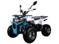 купить Квадроцикл AVANTIS Aura 125 Lux в Москве - фото 