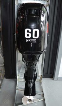 купить 4х-тактный лодочный мотор GOLFSTREAM F60FEL-T EFI в Москве - фото 