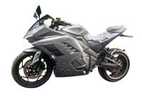 купить Электромотоцикл JOSE Panigale-S Hub в Москве - фото 