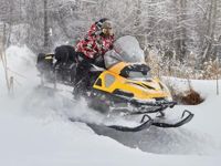 купить Снегоход СТЕЛС Viking S600 ST в Москве - фото 