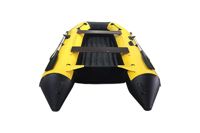 купить Лодка ПВХ BIG BOAT Regat 310 в Москве - фото 