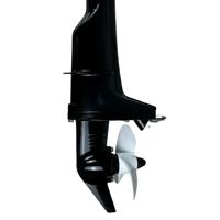 купить 2х-тактный лодочный мотор MESAN 6.0 в Москве - фото 