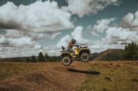 купить Квадроцикл HISUN Guardian 400L Long в Москве - фото 