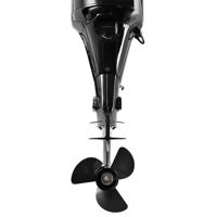 купить 4х-тактный лодочный мотор ФРЕГАТ EF60FUEL-T в Москве - фото 