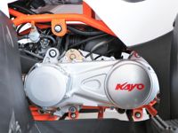 купить Квадроцикл KAYO Bull-2C в Москве - фото 